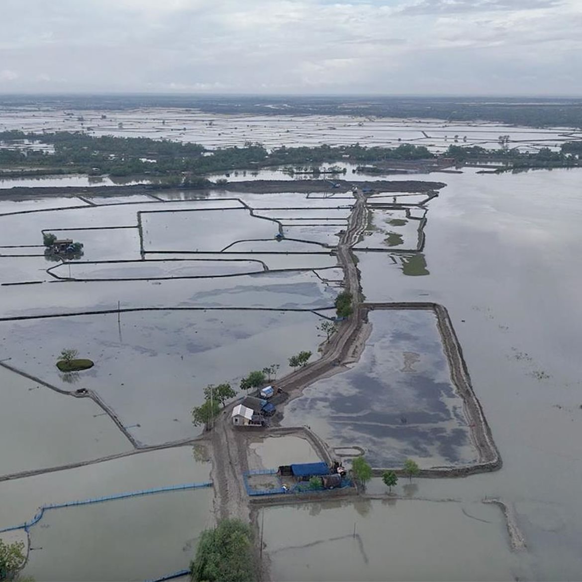 bangladesh-vann- (866x836)